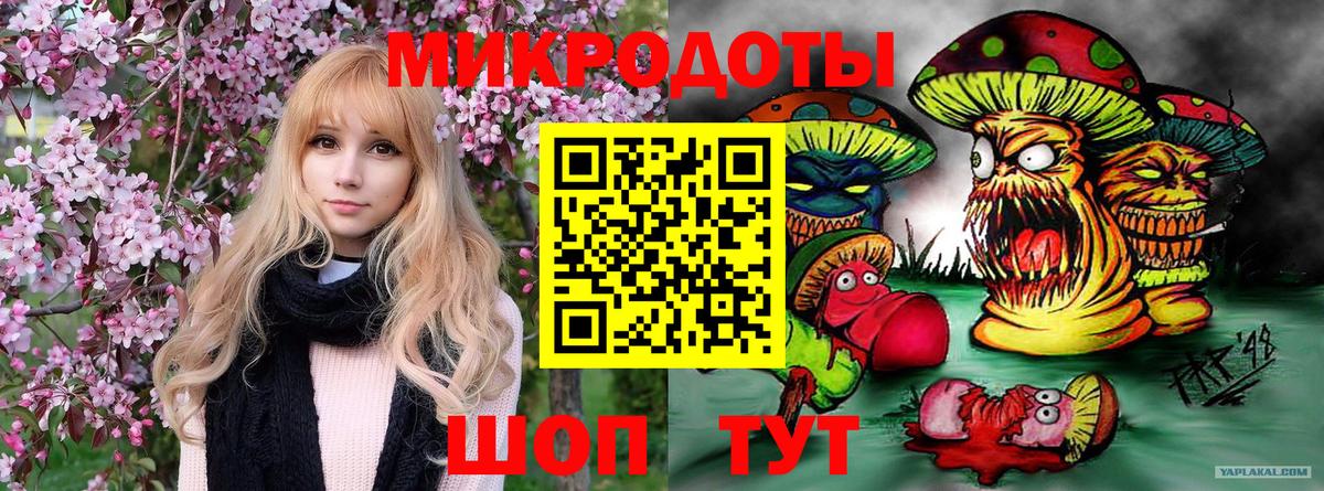 Псилоцибиновые грибы Psilocybe Алушта