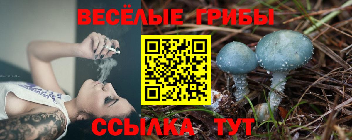 Галлюциногенные грибы GOLDEN TEACHER  Псилоцибиновые грибы мухоморы  Алушта  Вход с VPN 